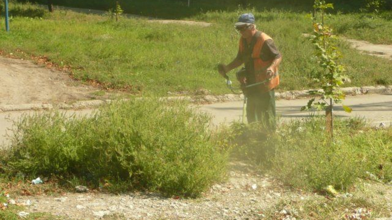 В Центральном округе продолжается борьба с сорной растительностью