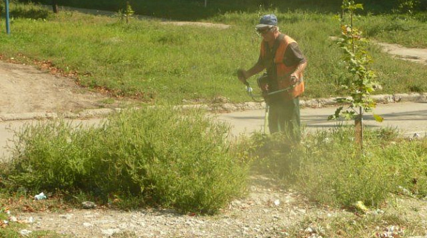 В Центральном округе продолжается борьба с сорной растительностью