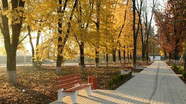 В Краснодаре старт голосования по выбору зеленых зон для благоустройства переносится на 26 апреля