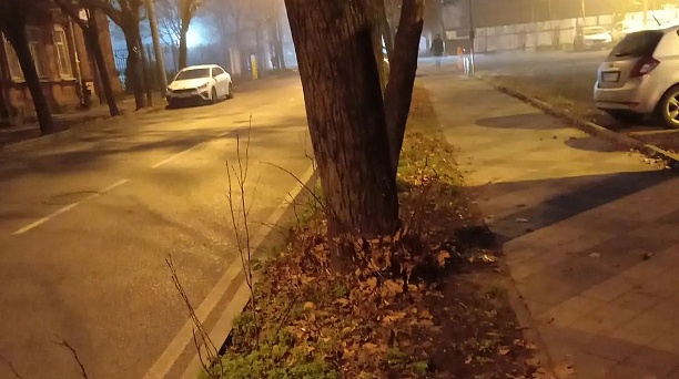 Взялись за «стрижку»: в Центральном округе стартовали работы по вырубке поросли 