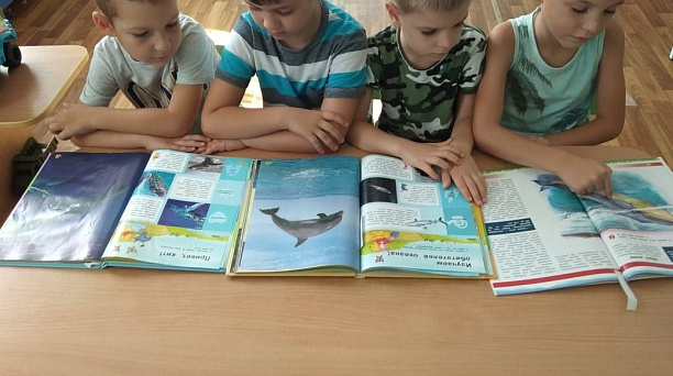 В детском саду № 46 отметили День дельфина