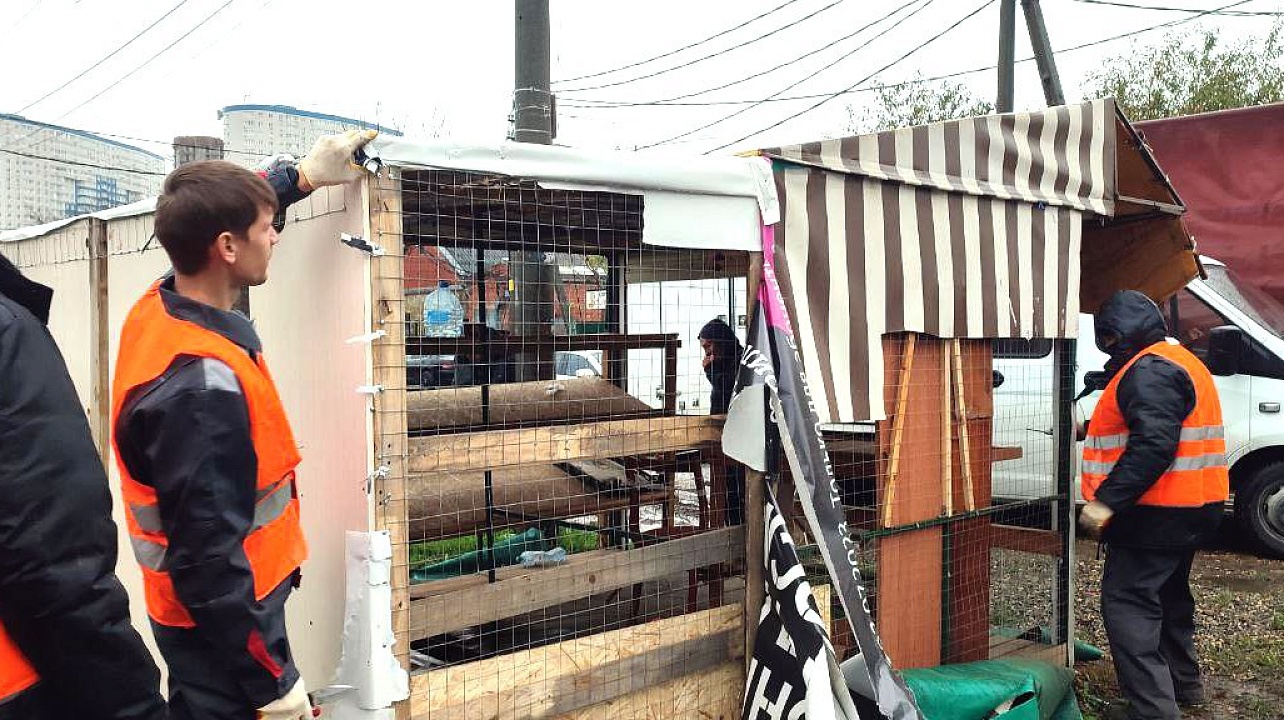 Фото: Телеканал "Краснодар"