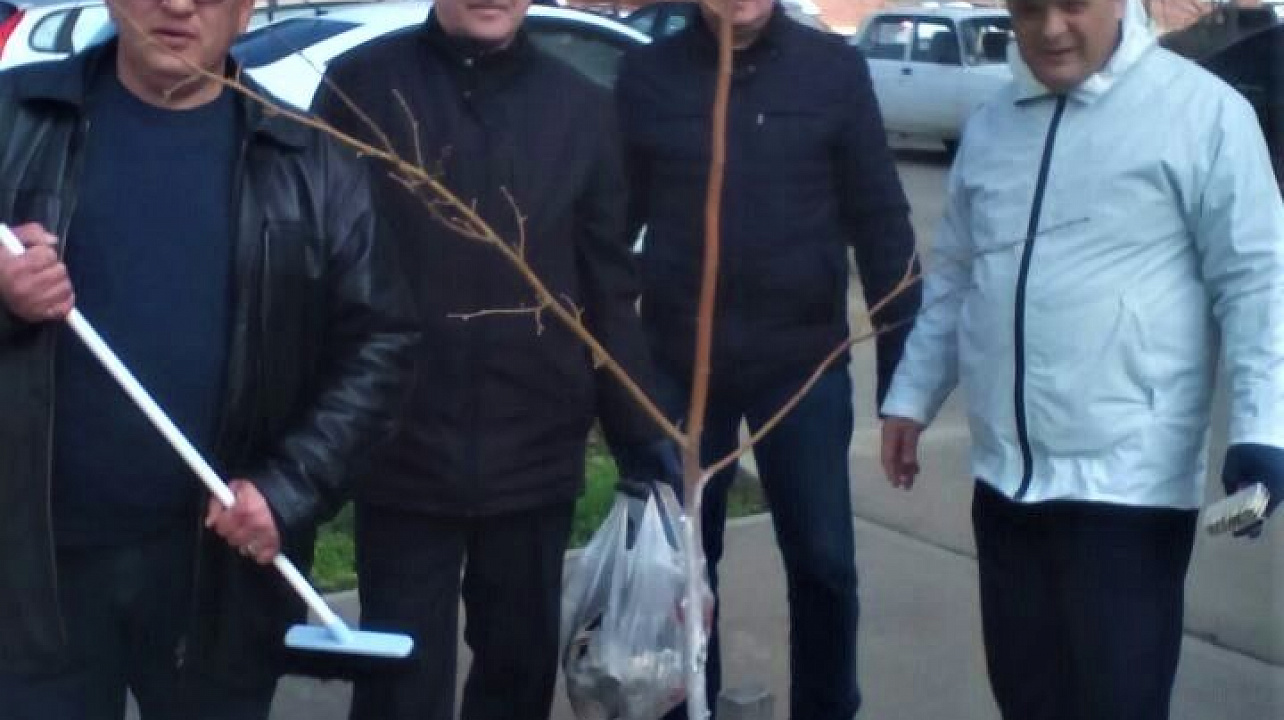 Активисты очистили бульвар Памяти чернобыльцев