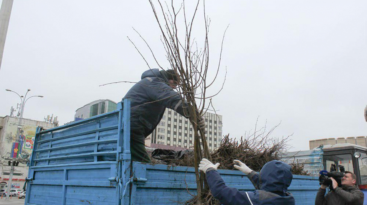 Фото: Пресс-служба администрации города Краснодара