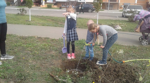На Черкасской высадили 20 саженцев дуба