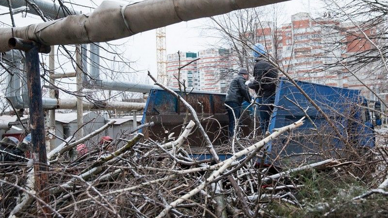 Фото: Ярослав Потапов