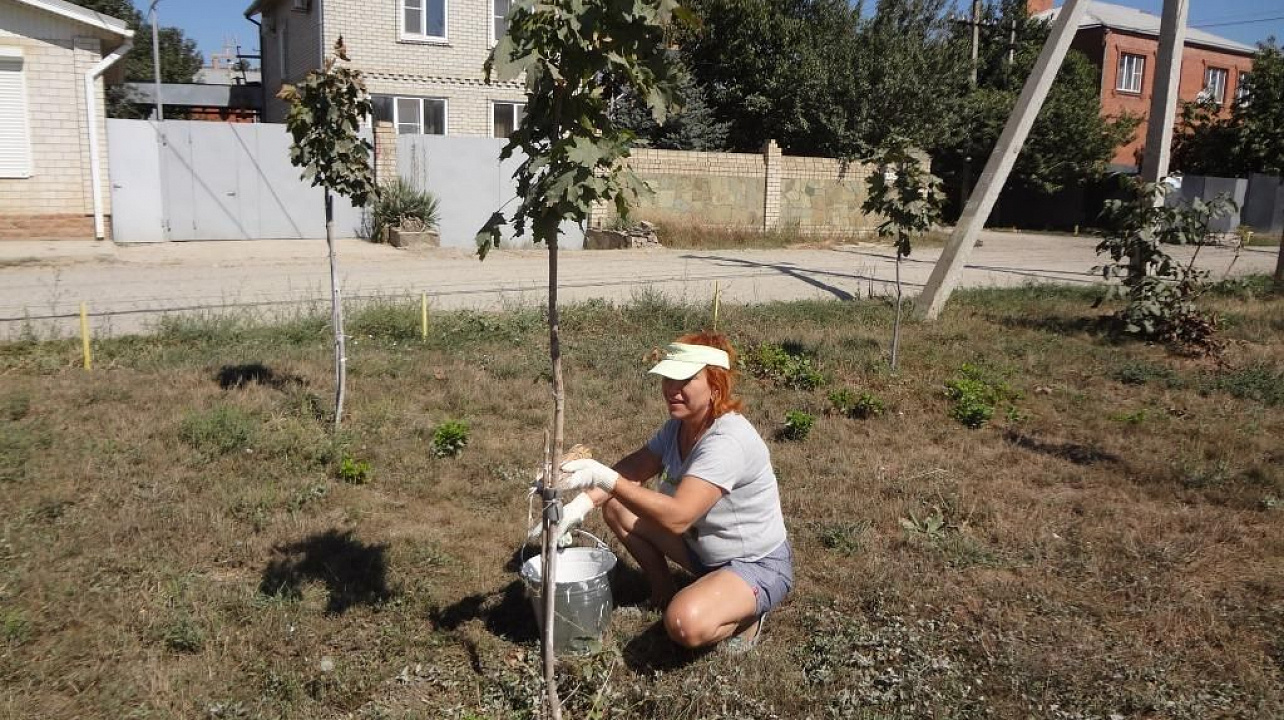 По улице Геодезической актив ТОС №481 провел субботник