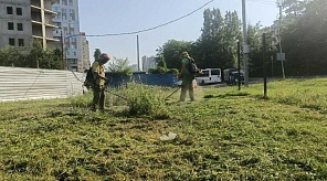 В Краснодаре скосили амброзию и сорняки на площади более 19 тысяч гектаров
