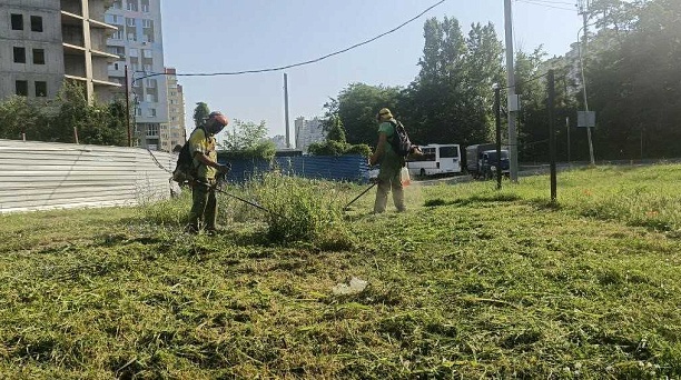 В Краснодаре скосили амброзию и сорняки на площади более 19 тысяч гектаров