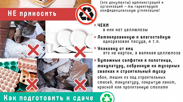 Всероссийский Эко-марафон: «Сдай макулатуру — спаси дерево!»