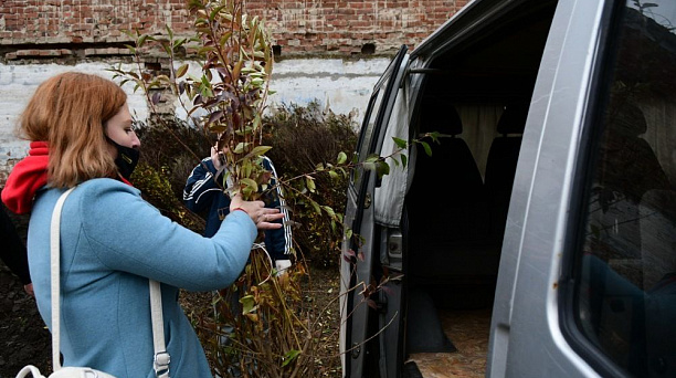 Осенний этап акции «Краснодар — 10 тысяч деревьев» стартует 26 октября