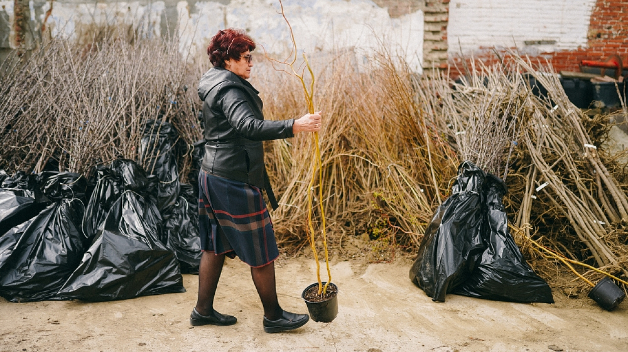 Фото: Дарья Паращенко