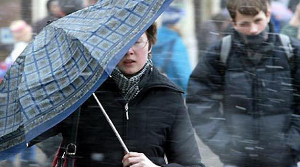 Сильный ветер в Краснодаре не стал угрозой для горожан