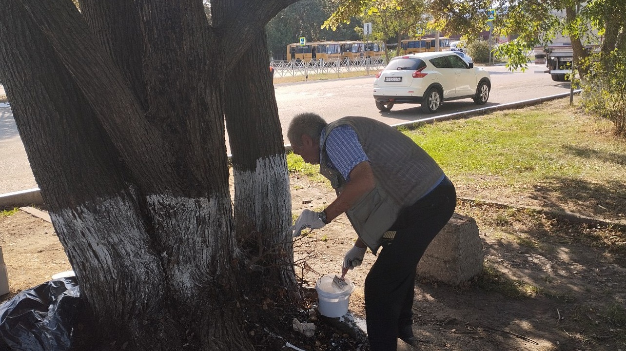 Общегородской субботник прошёл в Прикубанском округе