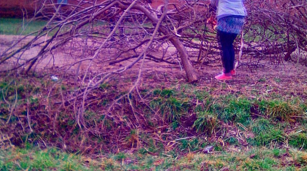 Жители Лазурного очистили от веток детскую площадку