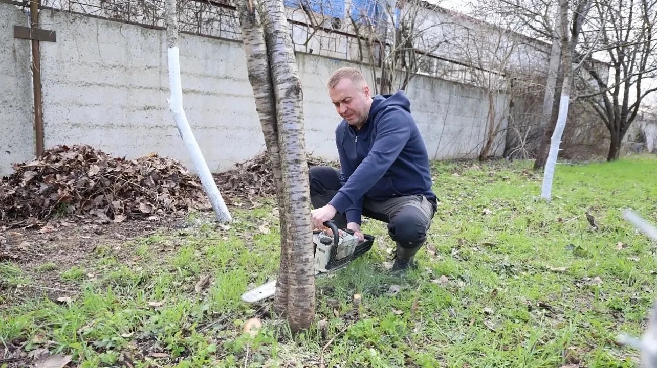 Фото: городская Дума Краснодара