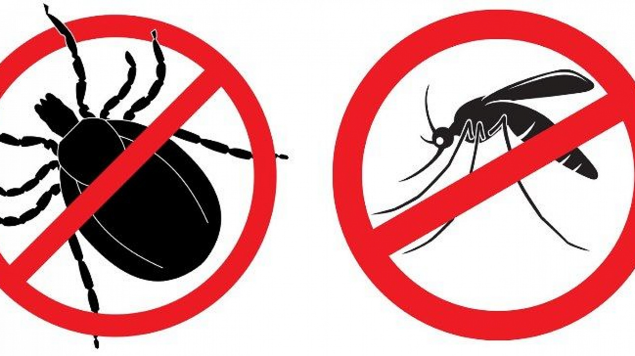 Осторожно! Лихорадка Западного Нила.jpg