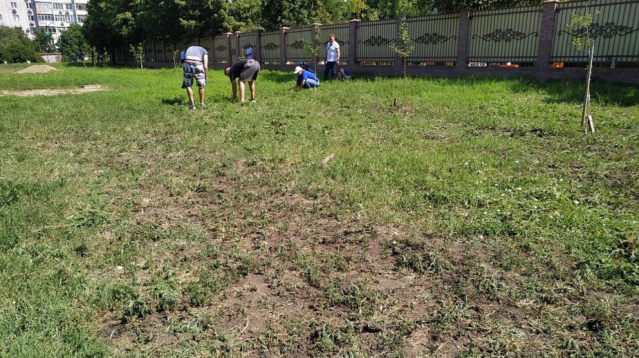 Краснодар_ЗВО_амброзия (8).jpeg