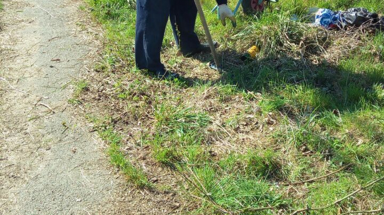 Жители поселка Демьяна Бедного навели порядок в сквере «Дружба»