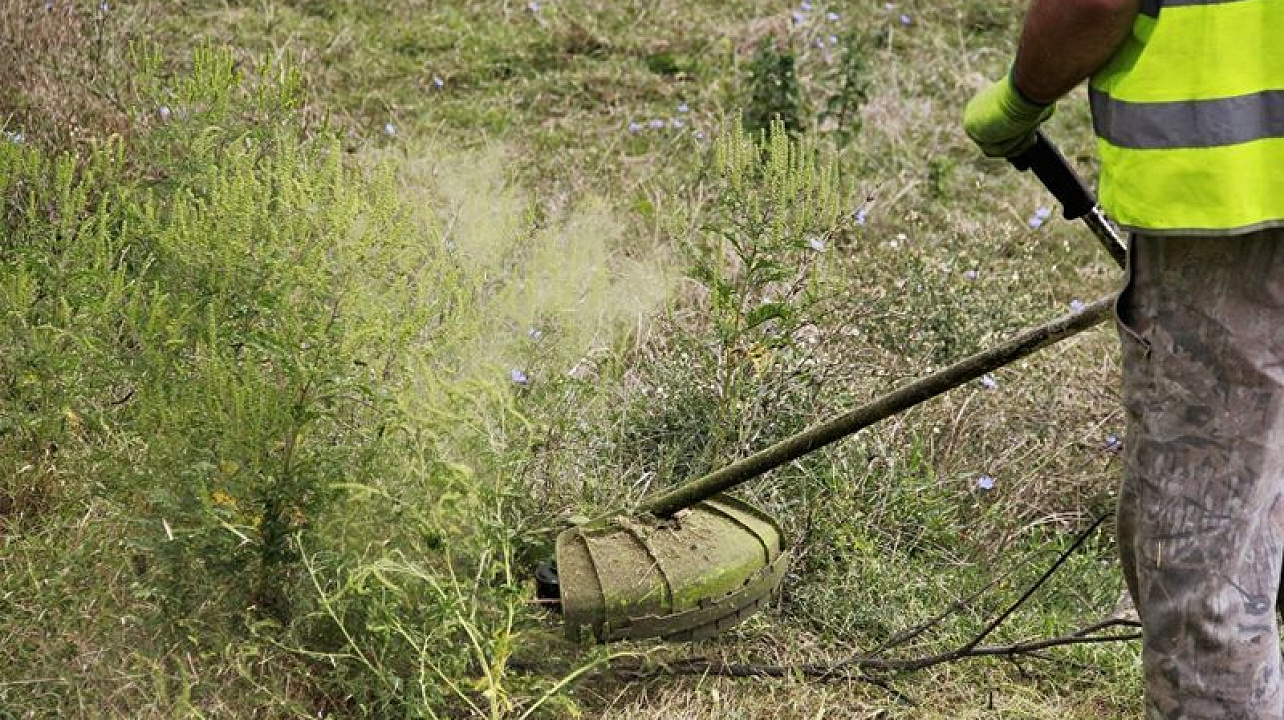 В Центральном округе продолжается борьба с сорной растительностью