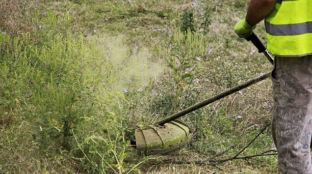 В Центральном округе продолжается борьба с сорной растительностью