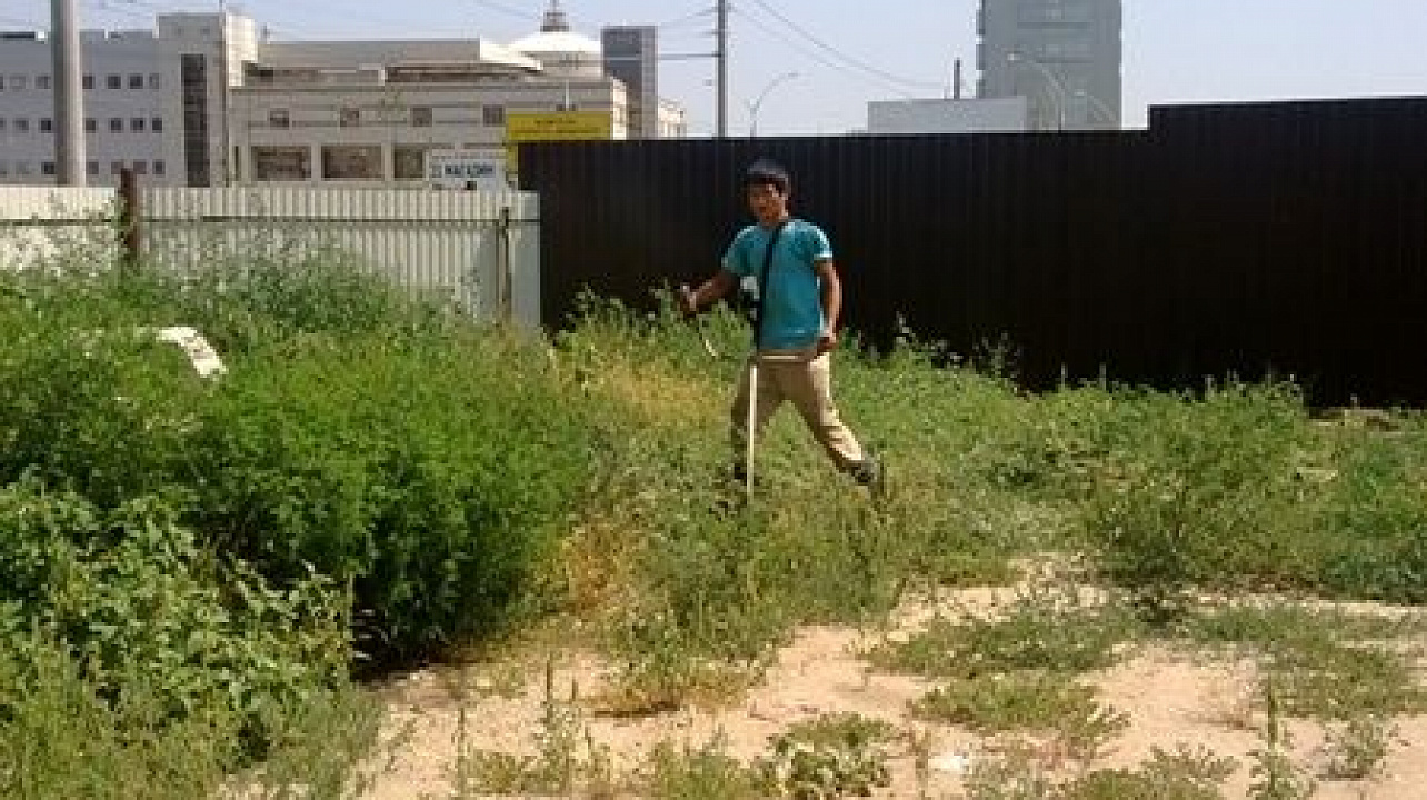 Западный округ активизирует борьбу с сорной растительностью