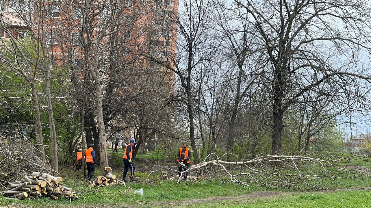 Фото: Пресс-служба администрации Краснодара
