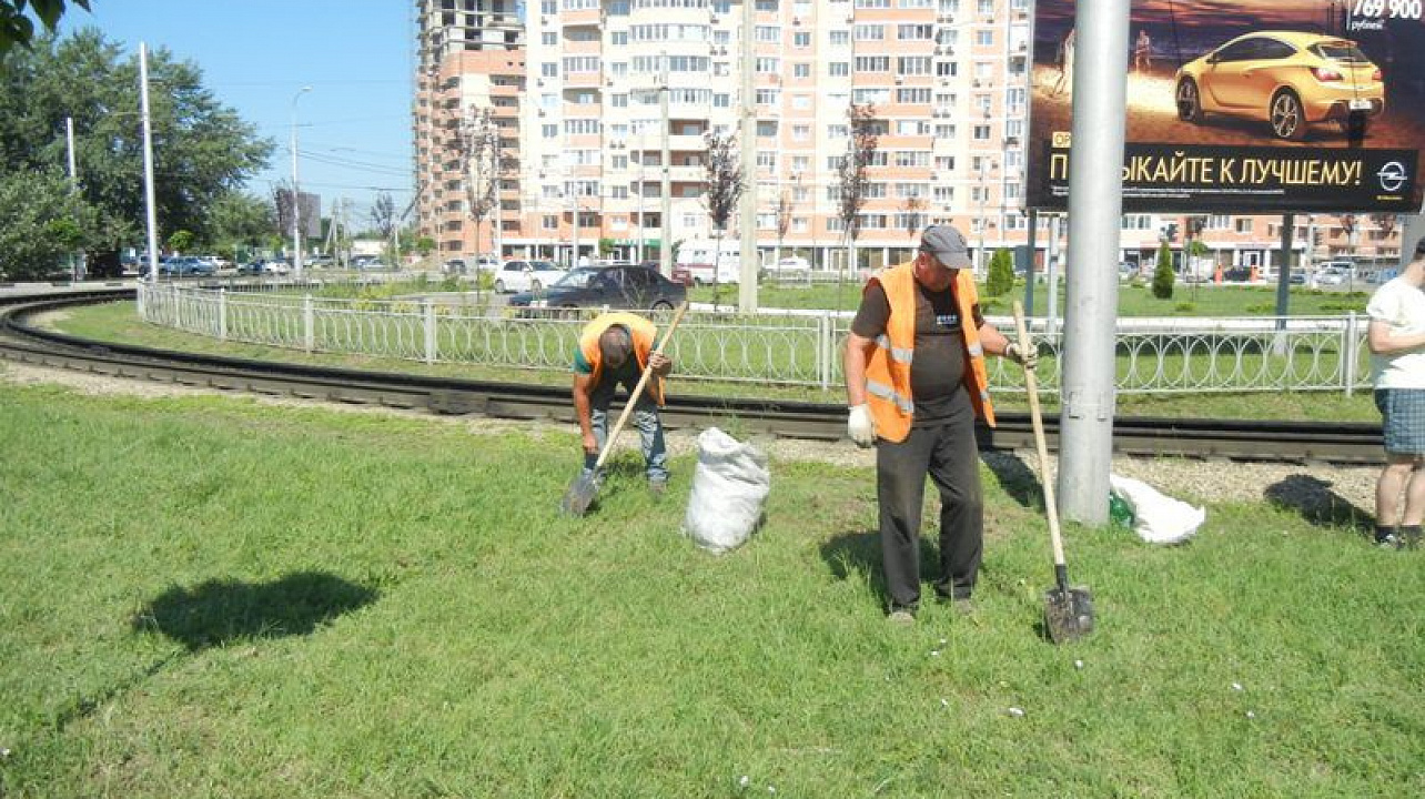 В Западном округе идет борьба с карантинным сорняком
