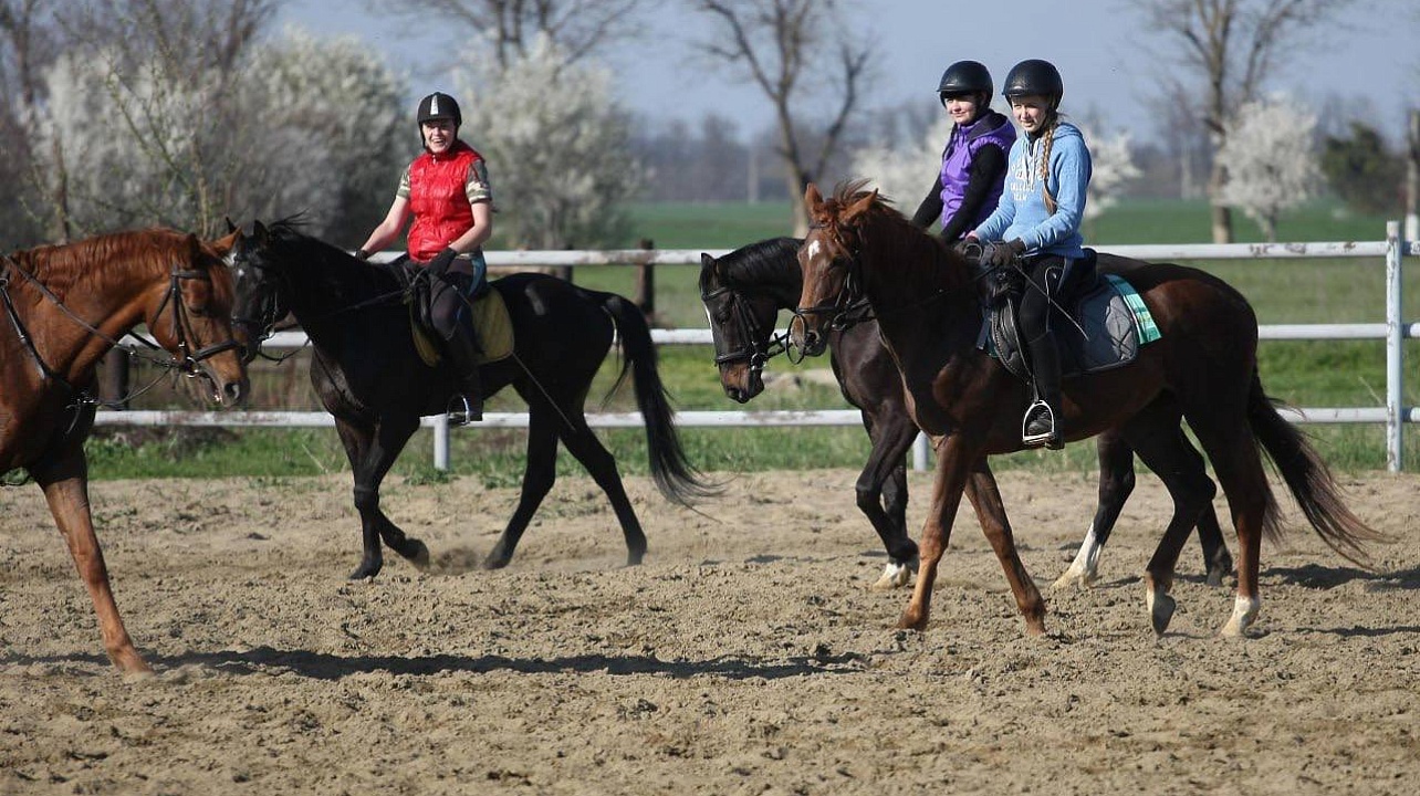 Фото: Пресс-служба администрации Краснодара