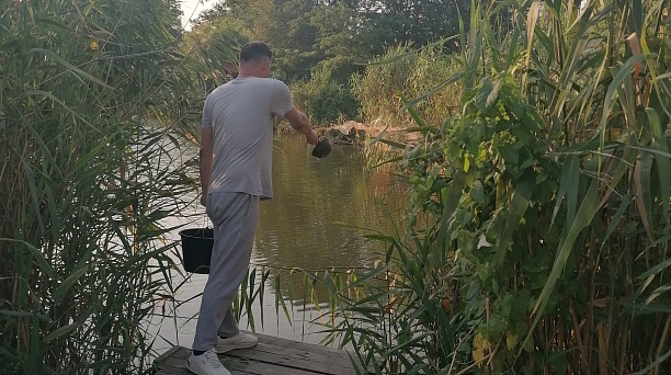 Двадцать второе предварительное обследование обособленных водных объектов