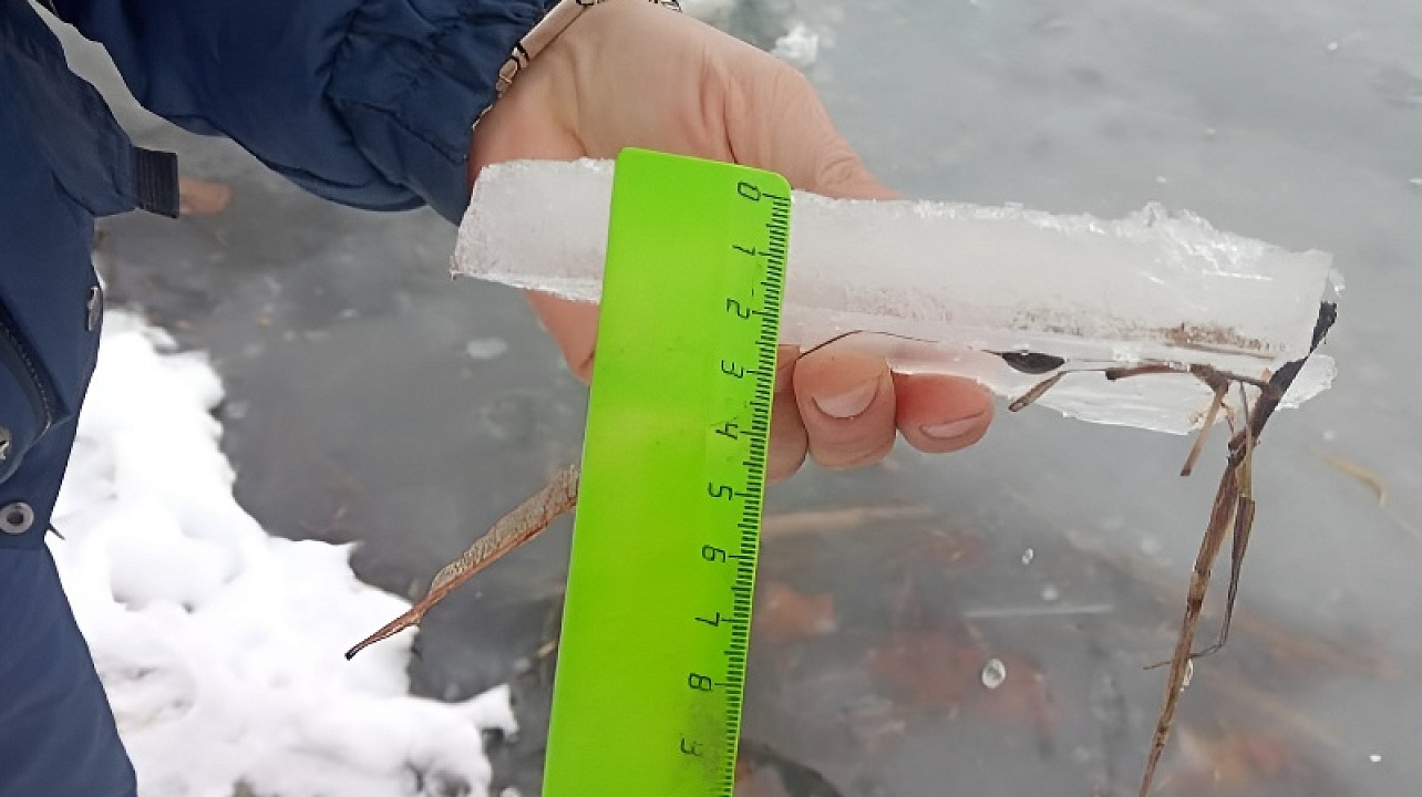 Фото: Управление гражданской защиты администрации Краснодара