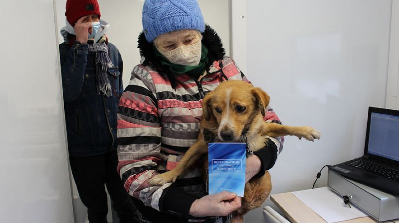 В Центральном округе торжественно открылся передвижной ветеринарный кабинет