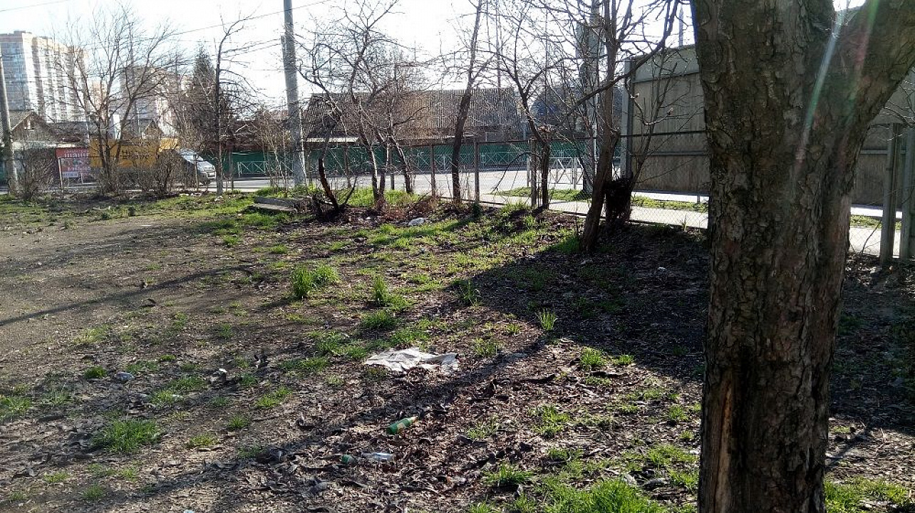 В Краснодаре офисные сотрудники управляющей компании присоединились к челленджу по уборке мусора