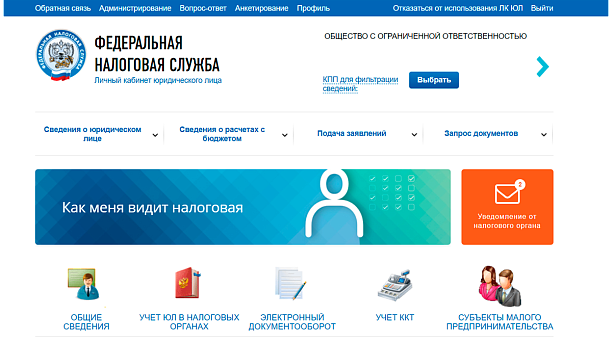 Как меня видит Налоговая