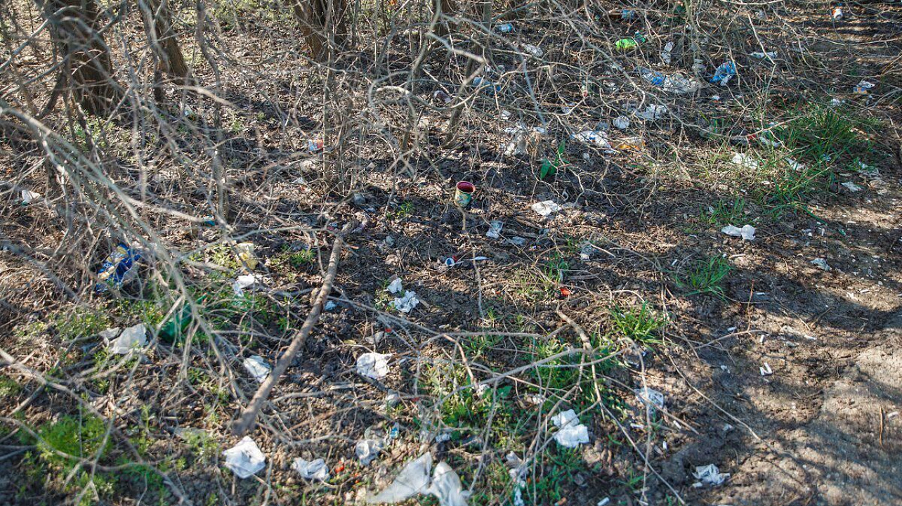 Фото: Даниил Коноплев