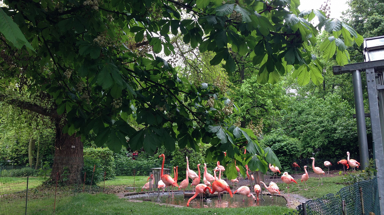 Молодежный оркестр «Новая волна» посетил Германию