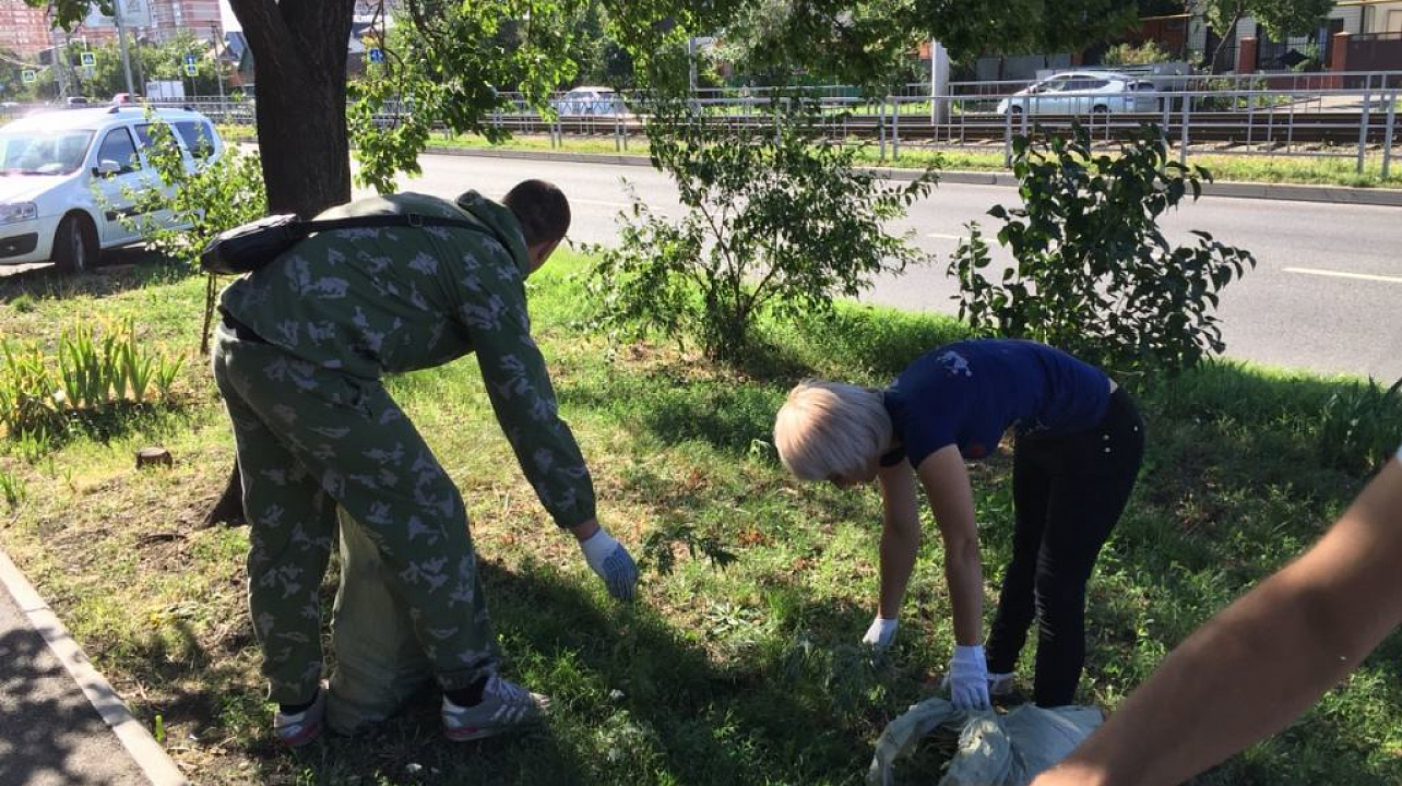 В Западном округе продолжается ликвидация амброзии