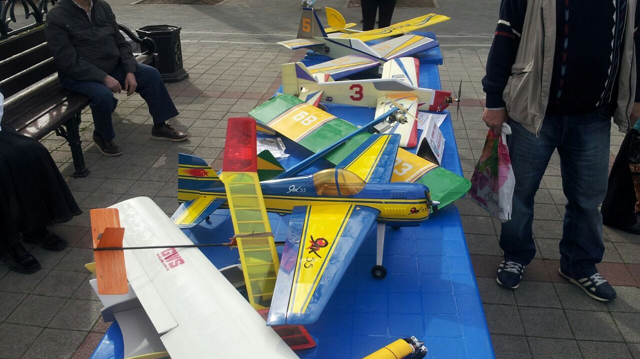 Молодежный Совет Западного округа принял участие в акции