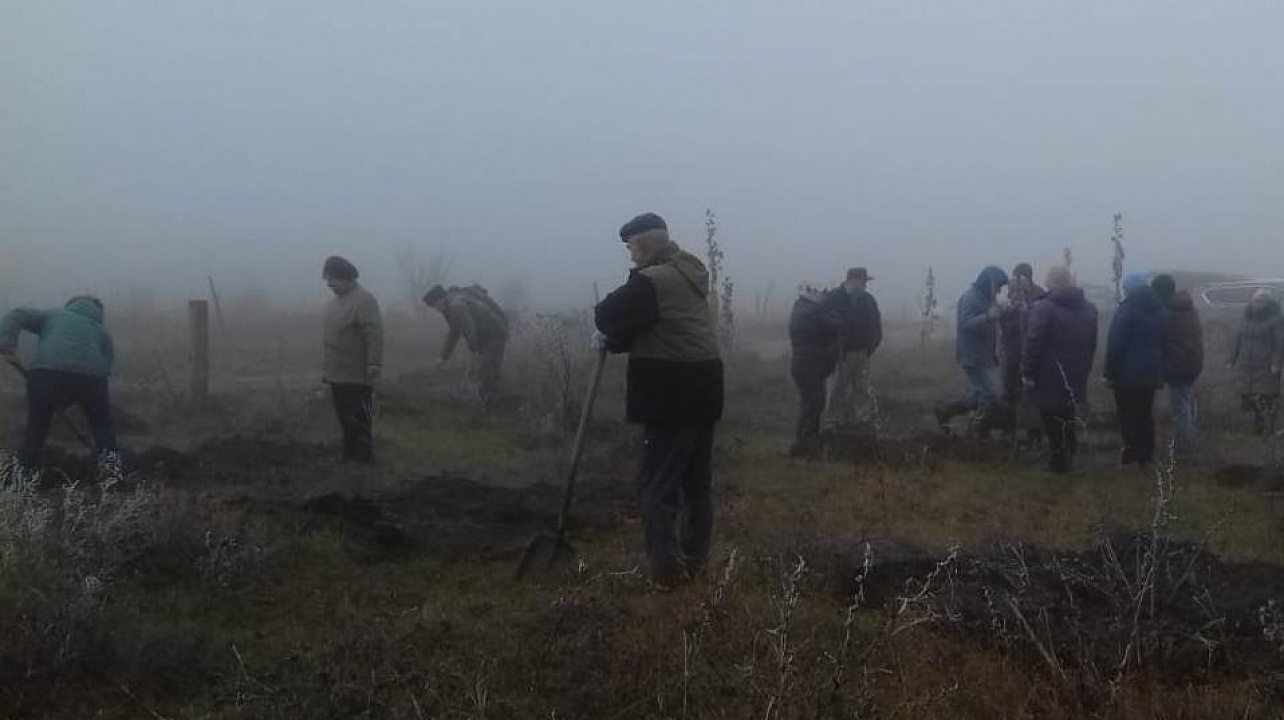 В станице Старокорсунской проходит осенний этап акции «Краснодар 10000 деревьев»