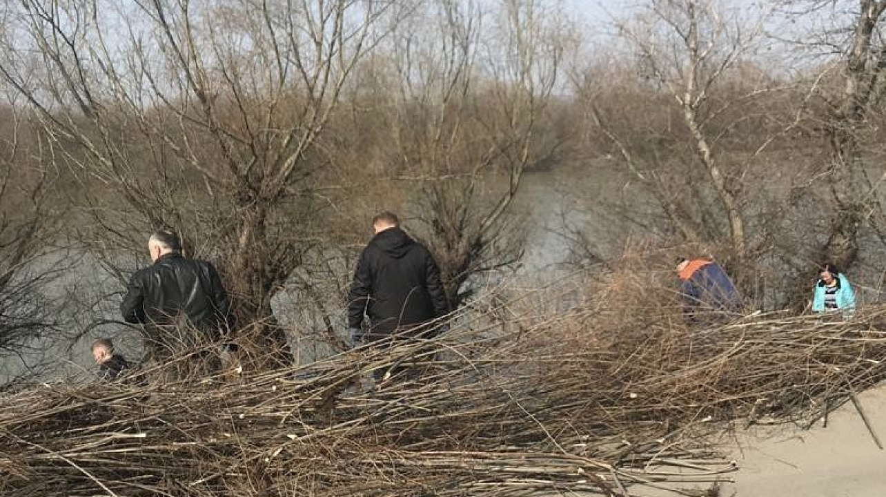 субботник береговая (5).jpeg