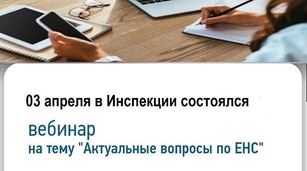 В Инспекции 03 апреля проведен вебинар