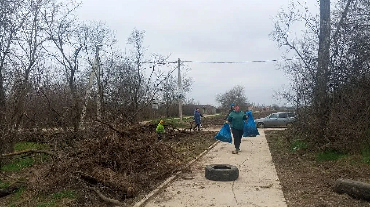 Фото: Пресс-служба администрации Краснодара