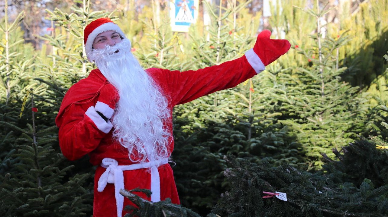 Фото: Станислав Телеховец