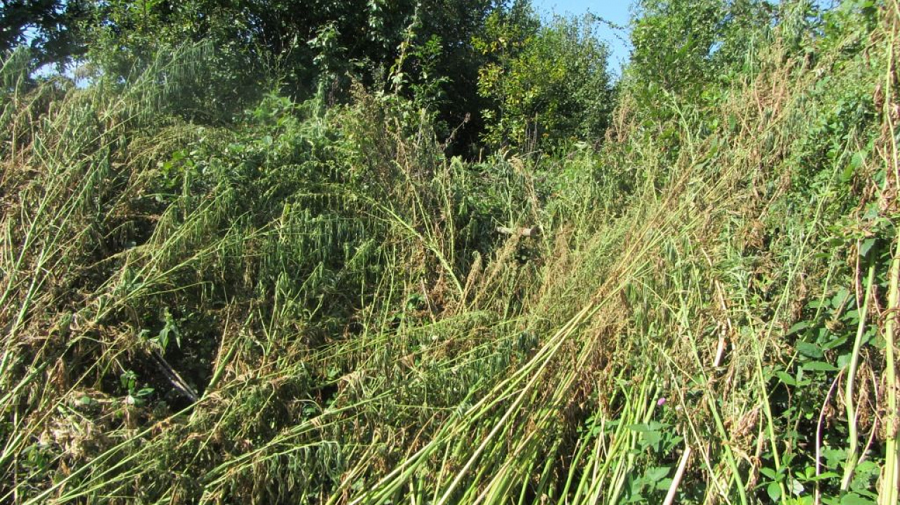 Совместные рейды