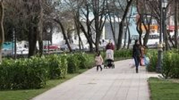 Онлайн-голосование по определению приоритетности общественных территорий Краснодара для благоустройства в 2018 году завершилось