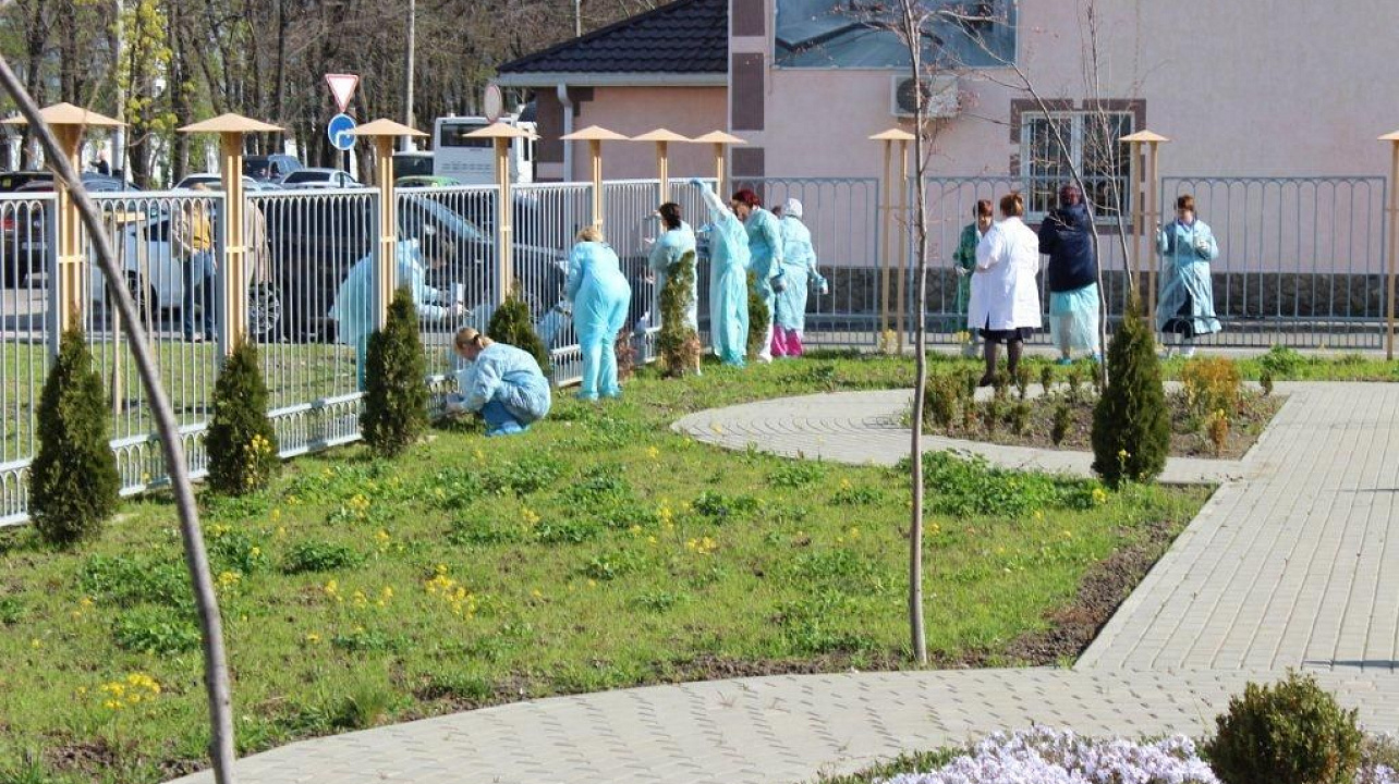 В  Краснодаре подведены итоги Всероссийского экологического  субботника