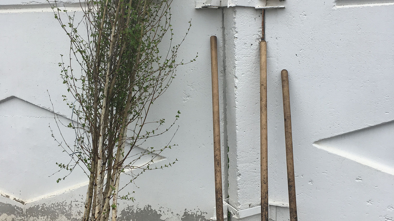 ОПХ «Центральное» приняли участие в челлендже #10000деревьевкраснодару