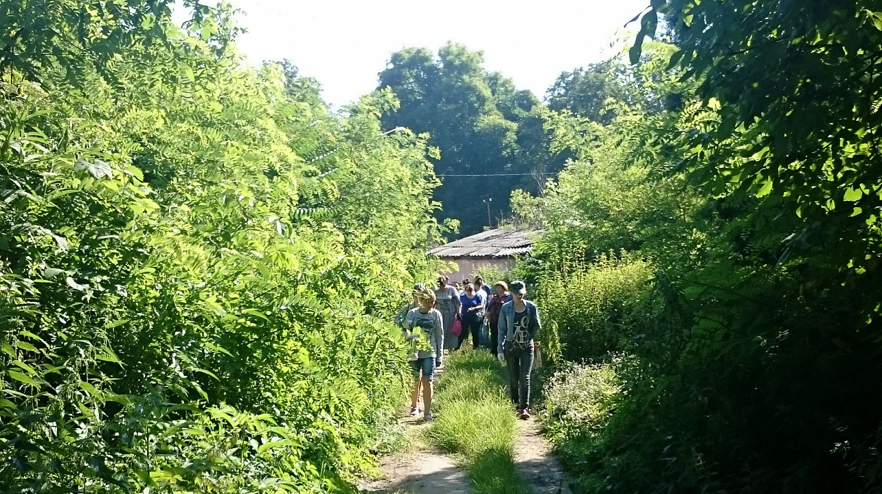 В Западном округе продолжается борьба с сорной растительностью
