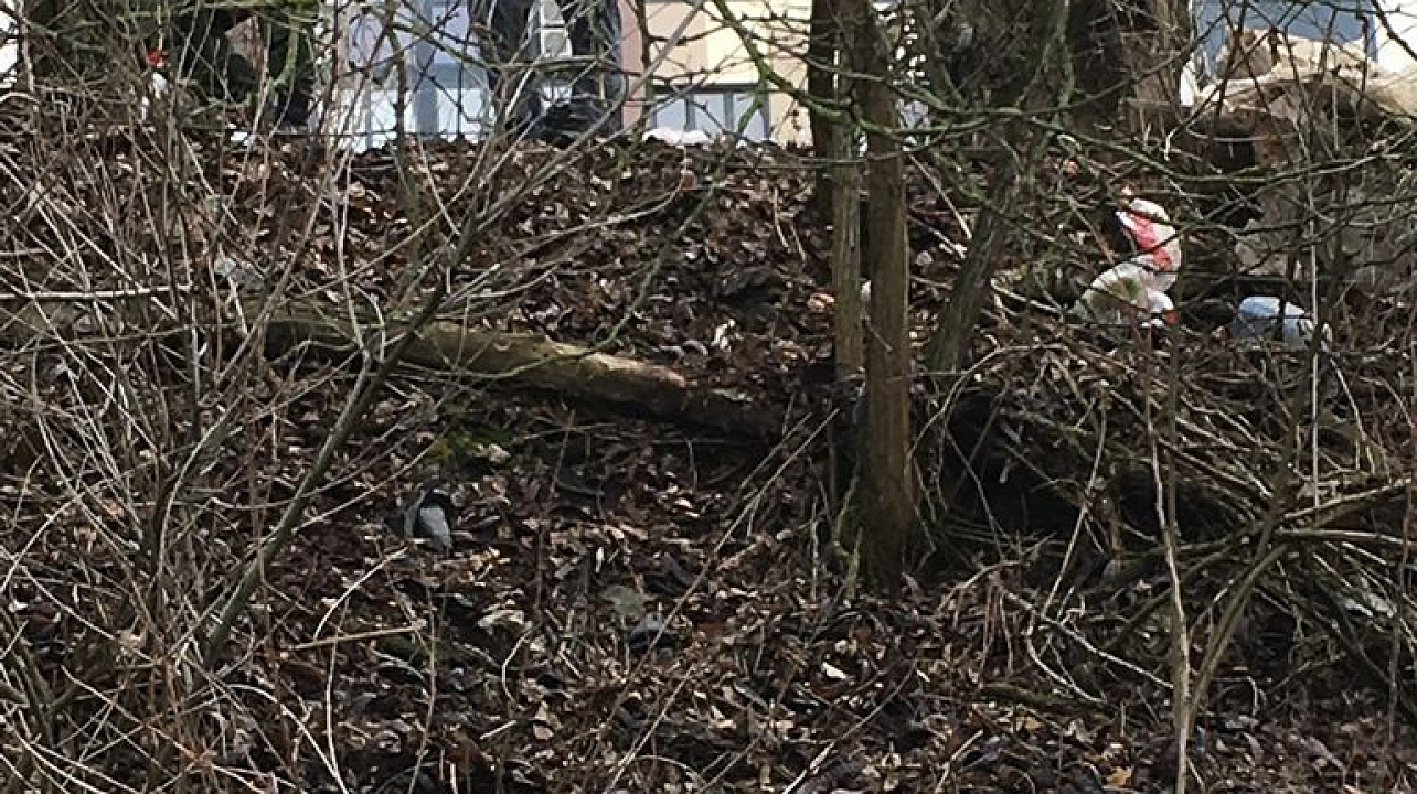 На побережье  Кубани продолжаются работы по ликвидации свалок