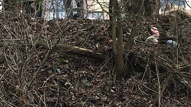 На побережье  Кубани продолжаются работы по ликвидации свалок